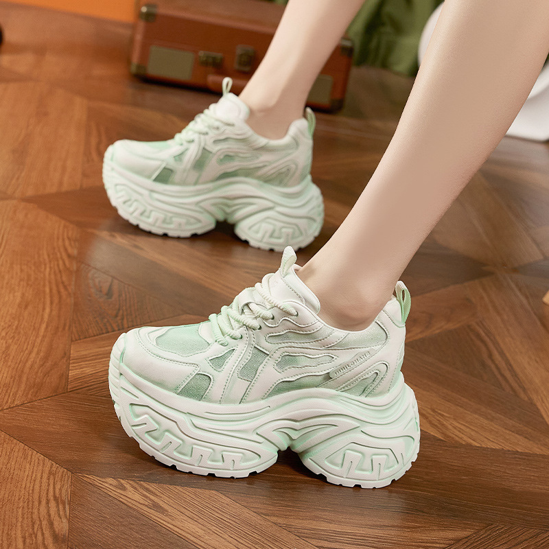 여성 패션 청키 플랫폼 스니커즈 통기성 메쉬 미끄럼 방 - Women Shoes For Walking 리뷰 및 가격